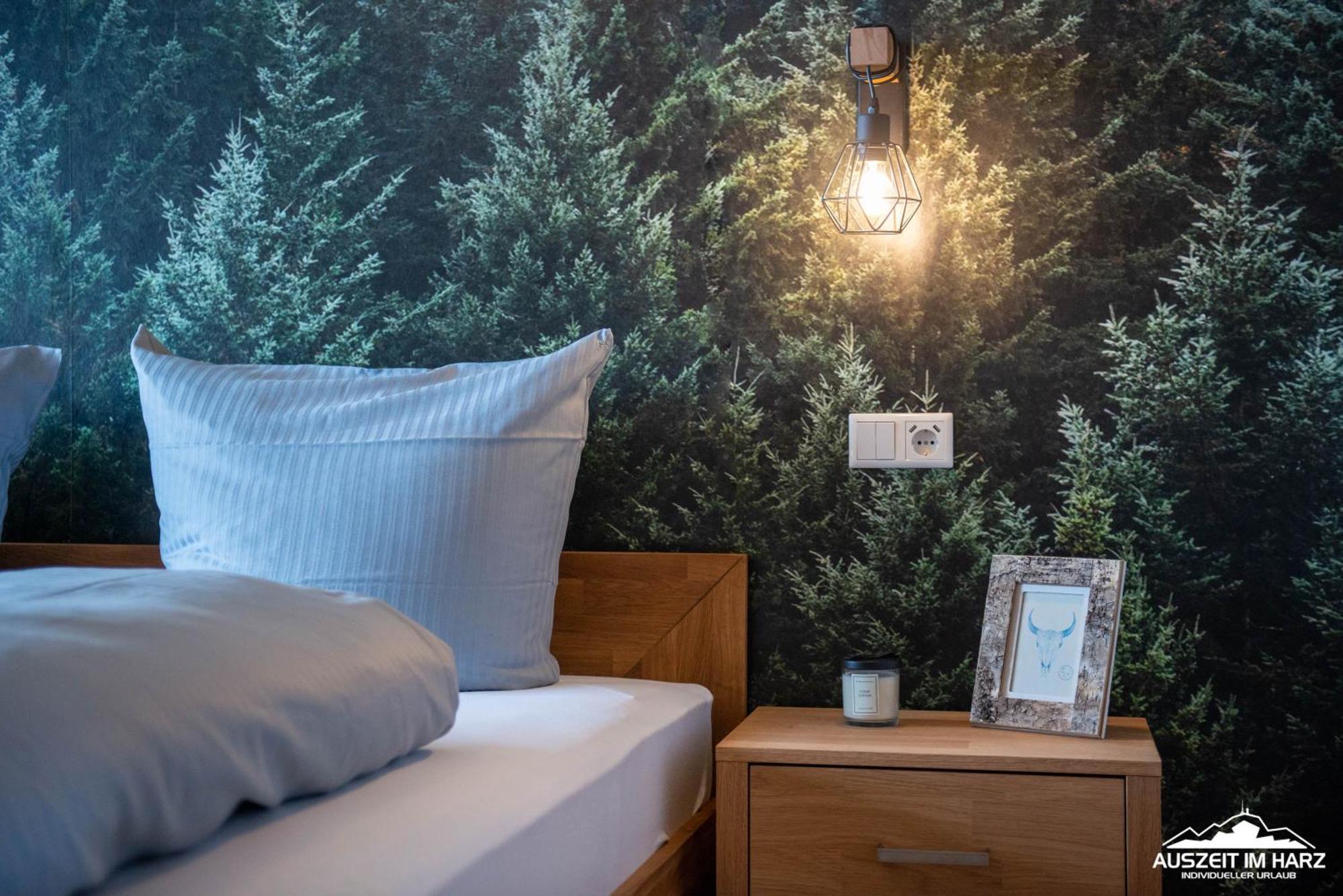 Auszeit-Im-Harz Haus 3 Wohnung 4 Braunlage Buitenkant foto